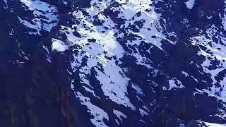 Что творить этот зверь. Я ВШОКЕ
