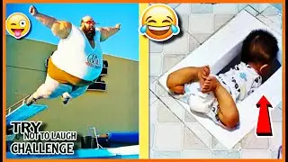 TRY NOT TO LAUGH 😂😆 Best Funny Videos Compilation 🤣 Funny Memes