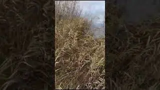 самодельны болотоход 20 лс