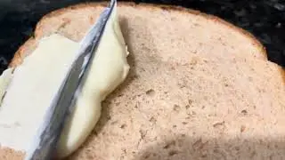 I make a bologna sandwich.