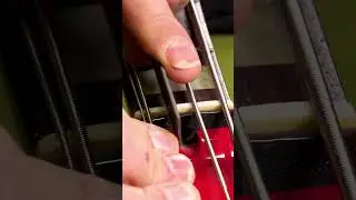 Bass Setup Secrets Revealed!