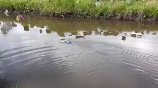 Ловля рыбы с помощью радиоуправляемого катера 🤣🤣🤣👍