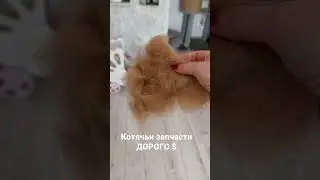 Запчасти дорого