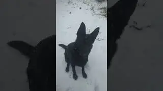 А у нас снег!