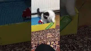 Minnak AŞKIM 😍