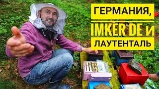 Germany: Imker DE and the 