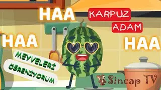 🍉 Karpuz Adam ŞİP ŞAP ŞOP 🍉 - Kavun,Erik,Kivi,Üzüm,Kiraz ADAM - Çocuk Şarkıları - Bebek Şarkıları