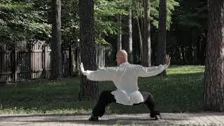 BajiQuan is the fist of opening the gates of the eight limits. ROMAN BESEDIN