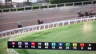 Horse racing handicapping  ending a losing streak in style