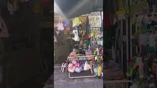 De quando eu estava na Coreia do Sul, Busan 🇰🇷