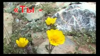 На видео убитые моджахеды (18+)