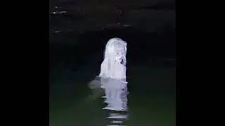 you can never have me