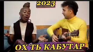 Ира бин Байди Точики хонд Ох ть Кабутари Ё Ки Пари