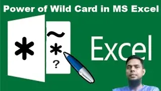Wildcard in excel || MS Excel Find and Replace with Wildcards || Wildcards power in Excel