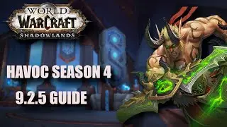 Shadowlands Season 4 Havoc Demon Hunter Guide