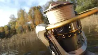 щука 🔥🔥🔥,когда не взял подсак 🤧