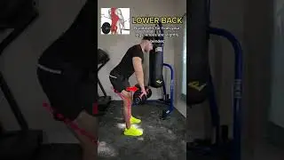 Dumbbell Romanian deadlift variations #shorts
