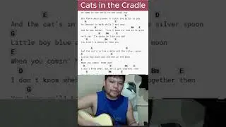 cats in the cradle