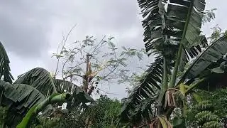 Na sakabilang bakud na ung teddy ko