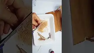 Como fazer presépio de Natal fácil #diy
