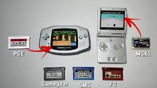 I bought a all in one cartridges for GBA to play various consoles.