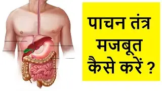 पाचन तंत्र मजबूत कैसे करें | pachan tantra ko majboot kaise kare | पाचन तंत्र मजबूत कैसे बनाएं