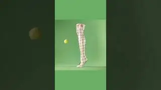 Net