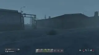 we went insane