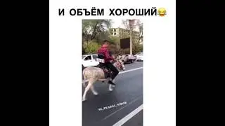 Мужик едет на осле