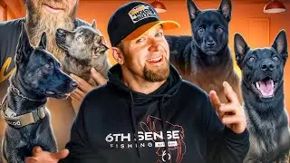Dog Sees Owner For First Time In A Year! A Heartwarming Reunion Of A Man And His K9