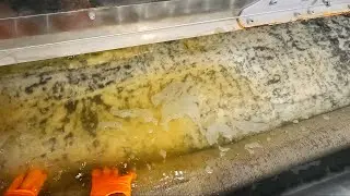Urine Contaminated rug goes for a swim || P.O.V Rug Cleaning in Atlanta & nearby cities