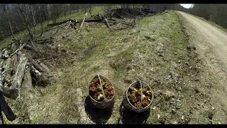 Как мы за сморчками ходили // жизнь в деревне