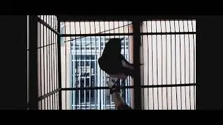 Tes mental Kacer anda sebelum lomba
