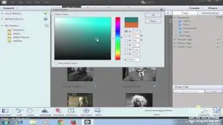 Working with Images in the Organizer - Photoshop Elements Tutorial