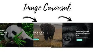 HTML, CSS, and jQuery Animation Slider with Text Effects | Step-by-Step Guide || Slider animation.