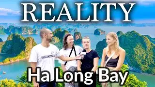 🇻🇳| Is Halong Bay Really As Spectacular As Instagram Says?