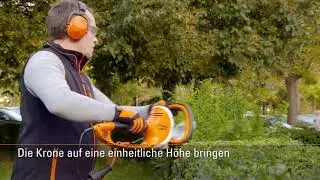 Электрический кусторез STIHL НSЕ 61 48120113509 50см