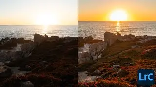 How To Use Auto Tone to IMPROVE Your Photo Editing [Adobe Lightroom Classic]