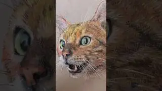 Drawing with Carbothello Pastel Pencils