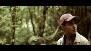 Lost in the Forest
