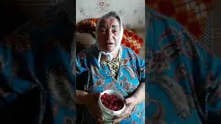 Ой калина ,ой малина