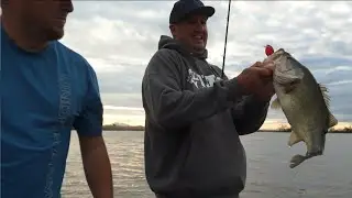 When to use a Sqaurebill crankbait!
