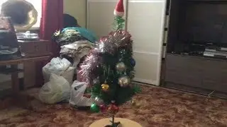 Decorating the Tree and gongratulating Happy New Year (Наряжаю ёлку и поздравляю с Новым годом)