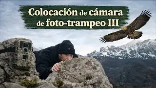 🈵 COLOCACIÓN CÁMARA DE FOTO-TRAMPEO (3)
