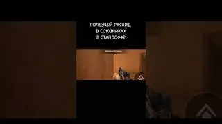 ПОЛЕЗНЫЙ РАСКИД В СОЮЗНИКАХ НА А ПЛЕНТЕ В СТАНДОФФ2 