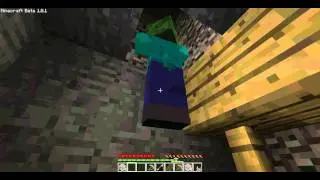 minecraft glitch (multiplayer)