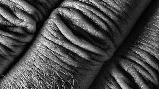 EXPLORING BLACK AND WHITE PHOTOGRAPHY TUTORIAL - Using Texture