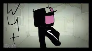 Mr.Enderman and I
