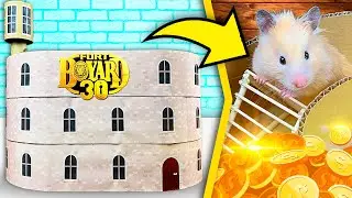 Hamsters VS Fort Boyard | 3 Storied Maze For Hamsters DIY