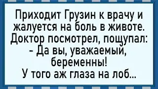 БЕРЕМЕННЫЙ ГРУЗИН! Анекдоты. Шутки.